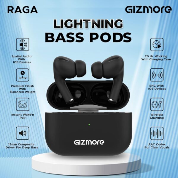 gizmore 8 (1)