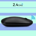 zebronic mouse 6