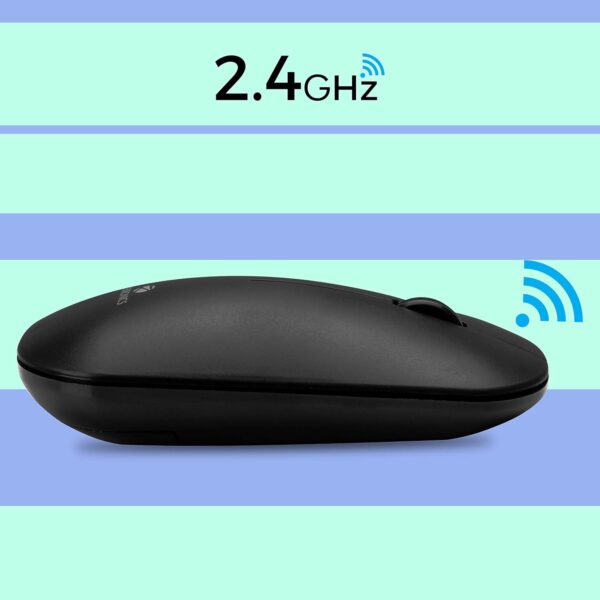 zebronic mouse 6