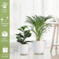 Floor Metal Planter, Set 2