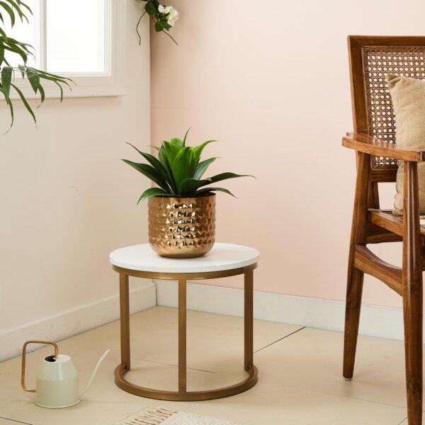 basic planter 3